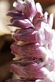 Resize of _MG_1349